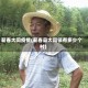 蕲春大同疫情(蕲春县大同镇有多少个村)