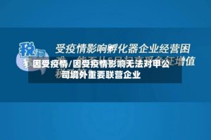 因受疫情/因受疫情影响无法对甲公司境外重要联营企业