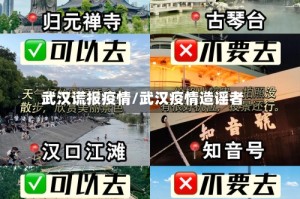 武汉谎报疫情/武汉疫情造谣者