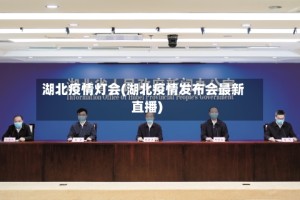 湖北疫情灯会(湖北疫情发布会最新直播)