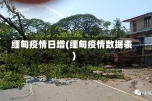缅甸疫情日增(缅甸疫情数据表)