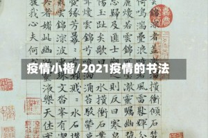 疫情小楷/2021疫情的书法