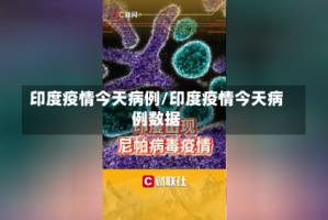 印度疫情今天病例/印度疫情今天病例数据
