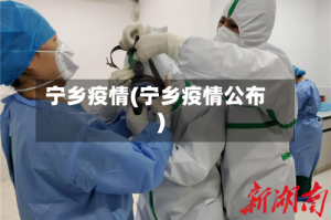宁乡疫情(宁乡疫情公布)