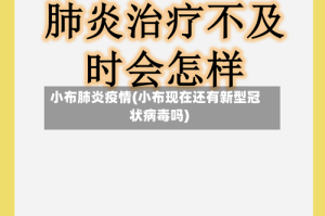小布肺炎疫情(小布现在还有新型冠状病毒吗)