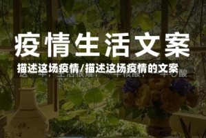 描述这场疫情/描述这场疫情的文案