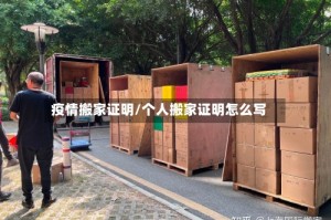 疫情搬家证明/个人搬家证明怎么写