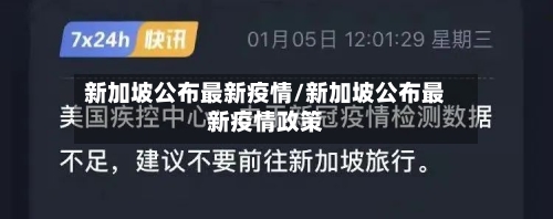 新加坡公布最新疫情/新加坡公布最新疫情政策-第3张图片