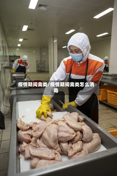 疫情期间禽类/疫情期间禽类怎么消毒-第1张图片