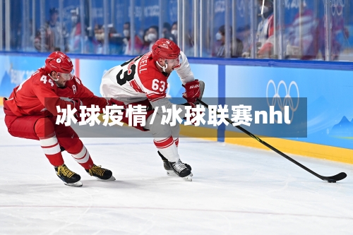 冰球疫情/冰球联赛nhl-第2张图片