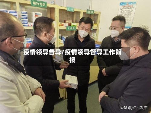 疫情领导督导/疫情领导督导工作简报-第1张图片