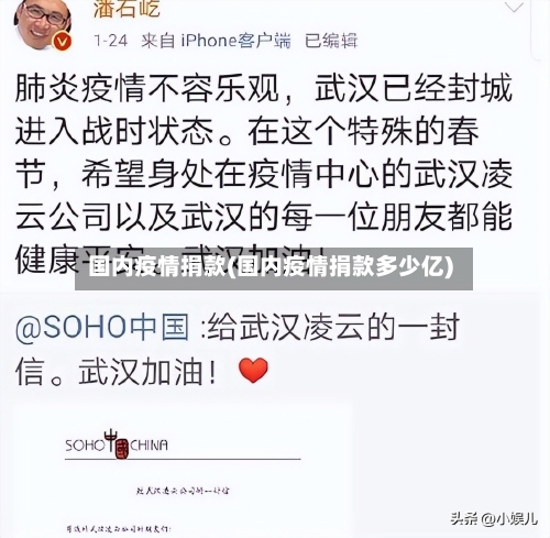 国内疫情捐款(国内疫情捐款多少亿)-第2张图片