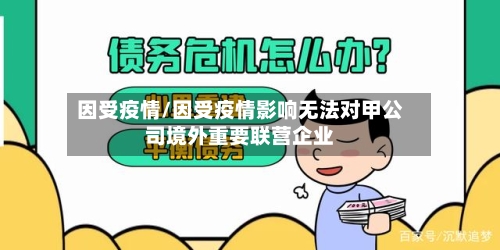 因受疫情/因受疫情影响无法对甲公司境外重要联营企业-第2张图片