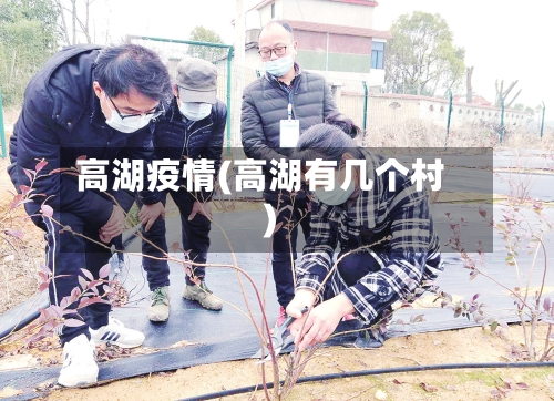高湖疫情(高湖有几个村)-第1张图片