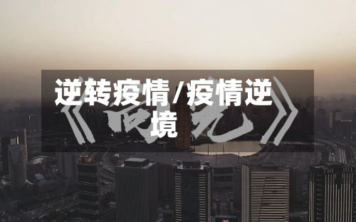 逆转疫情/疫情逆境-第2张图片