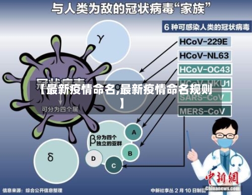 【最新疫情命名,最新疫情命名规则】-第2张图片