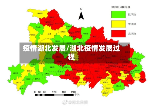 疫情湖北发展/湖北疫情发展过程-第1张图片