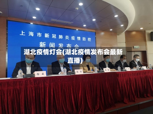 湖北疫情灯会(湖北疫情发布会最新直播)-第3张图片