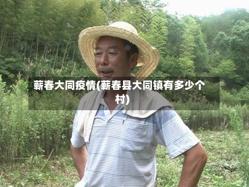 蕲春大同疫情(蕲春县大同镇有多少个村)-第1张图片