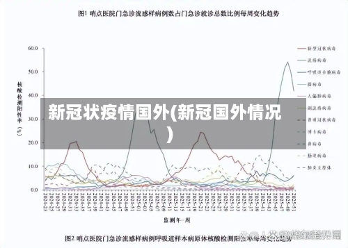 新冠状疫情国外(新冠国外情况)-第2张图片