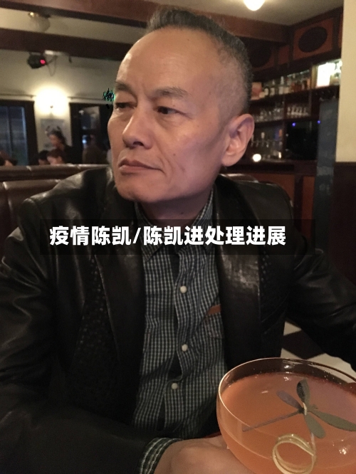 疫情陈凯/陈凯进处理进展-第1张图片