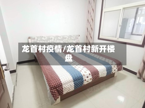 龙首村疫情/龙首村新开楼盘-第1张图片