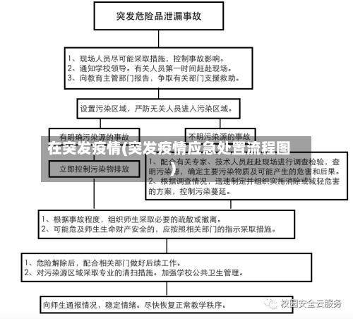 在突发疫情(突发疫情应急处置流程图)-第3张图片