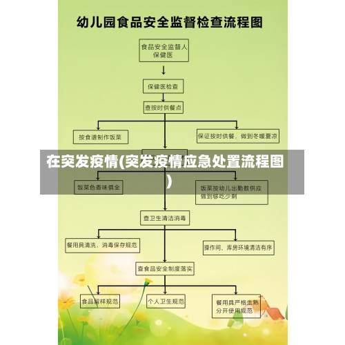 在突发疫情(突发疫情应急处置流程图)-第1张图片