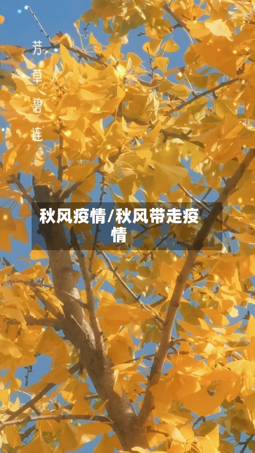 秋风疫情/秋风带走疫情-第1张图片