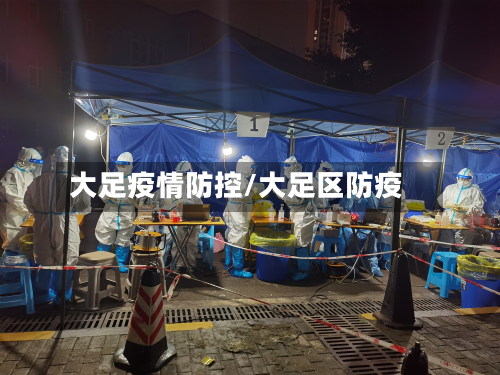 大足疫情防控/大足区防疫-第2张图片