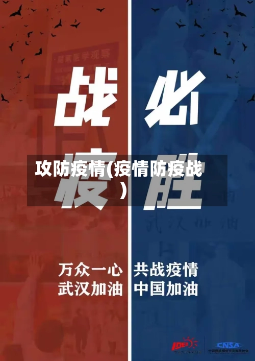 攻防疫情(疫情防疫战)-第1张图片