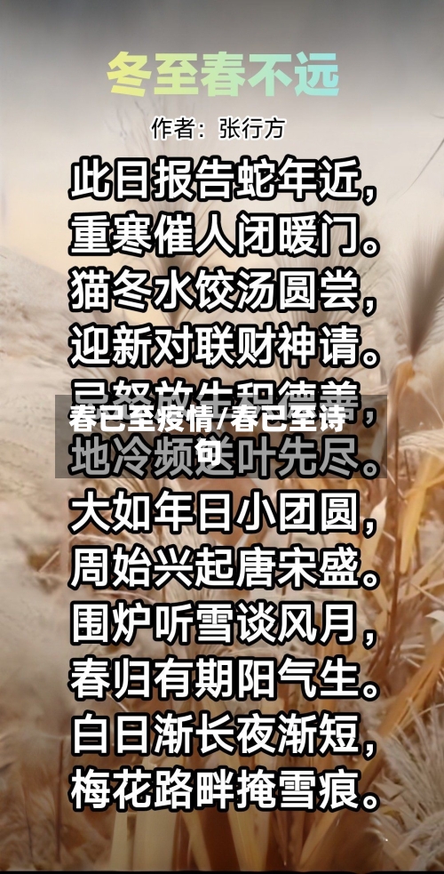 春已至疫情/春已至诗句-第2张图片