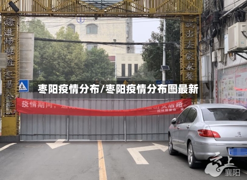 枣阳疫情分布/枣阳疫情分布图最新-第1张图片