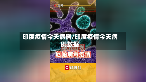 印度疫情今天病例/印度疫情今天病例数据-第1张图片