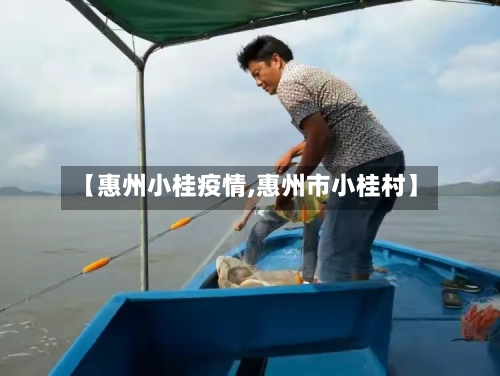 【惠州小桂疫情,惠州市小桂村】-第2张图片