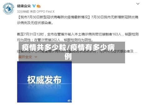 疫情共多少粒/疫情有多少病例-第3张图片