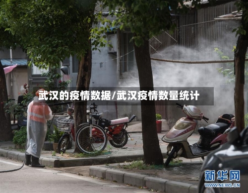 武汉的疫情数据/武汉疫情数量统计-第2张图片