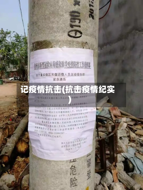 记疫情抗击(抗击疫情纪实)-第3张图片