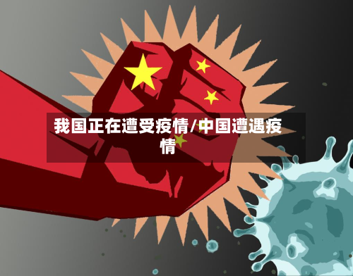 我国正在遭受疫情/中国遭遇疫情-第3张图片