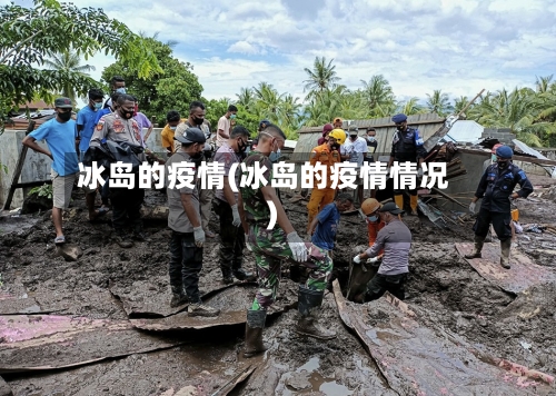 冰岛的疫情(冰岛的疫情情况)-第2张图片
